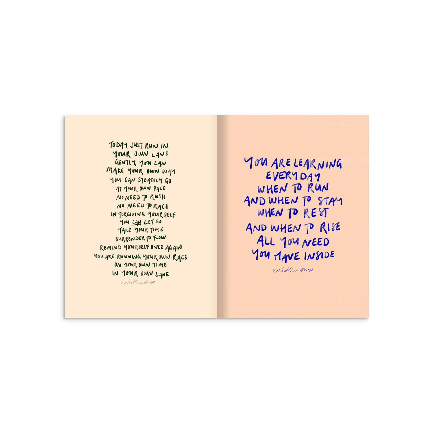 264fa6e7-a360-41c5-8ea6-7841ff99fb46