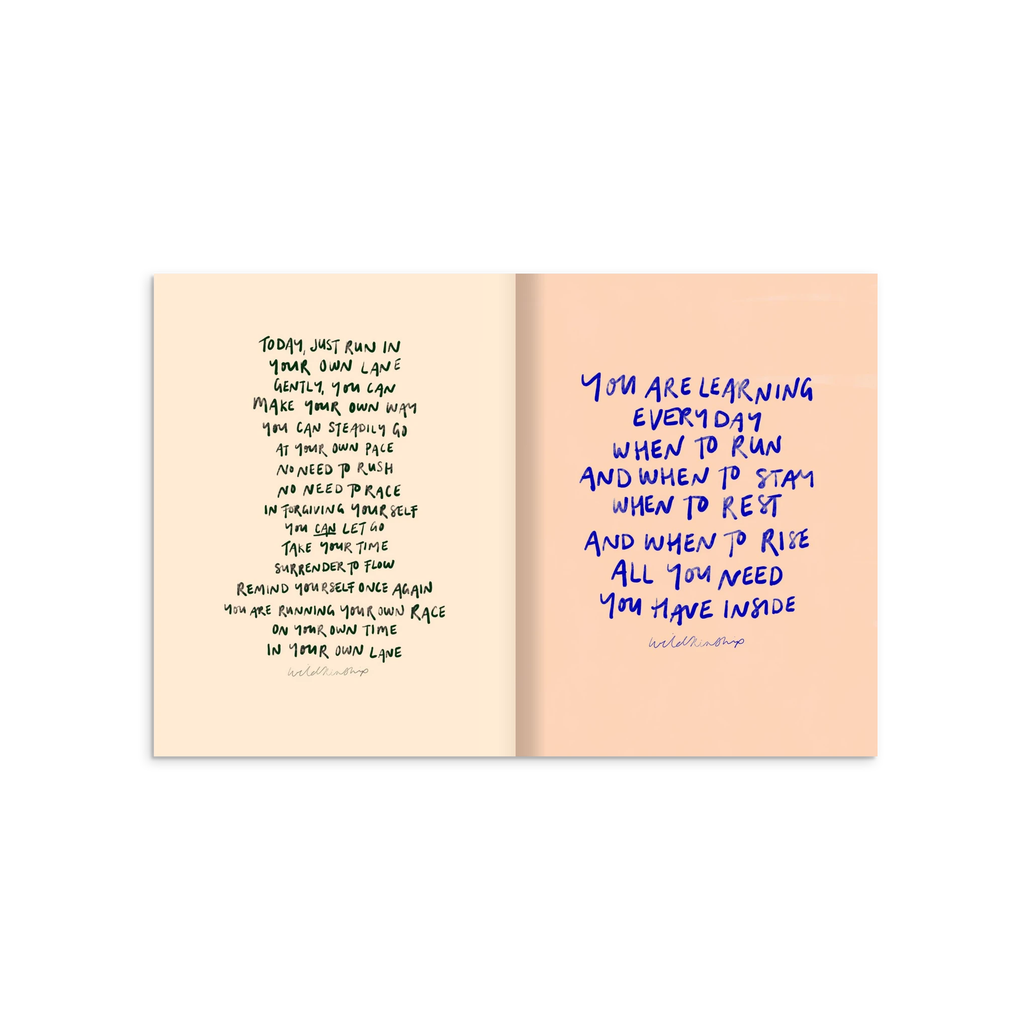 264fa6e7-a360-41c5-8ea6-7841ff99fb46